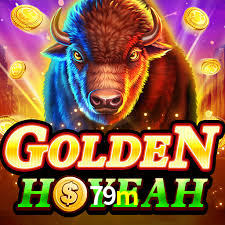 79m App Interface